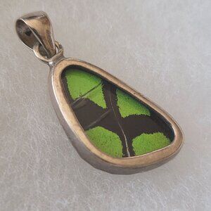 Pendant: Butterfly Wing Surrounded by Silver